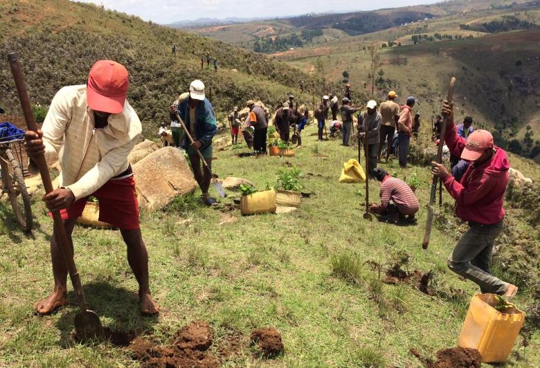 Journée communautaire pour la protection de l’environnement